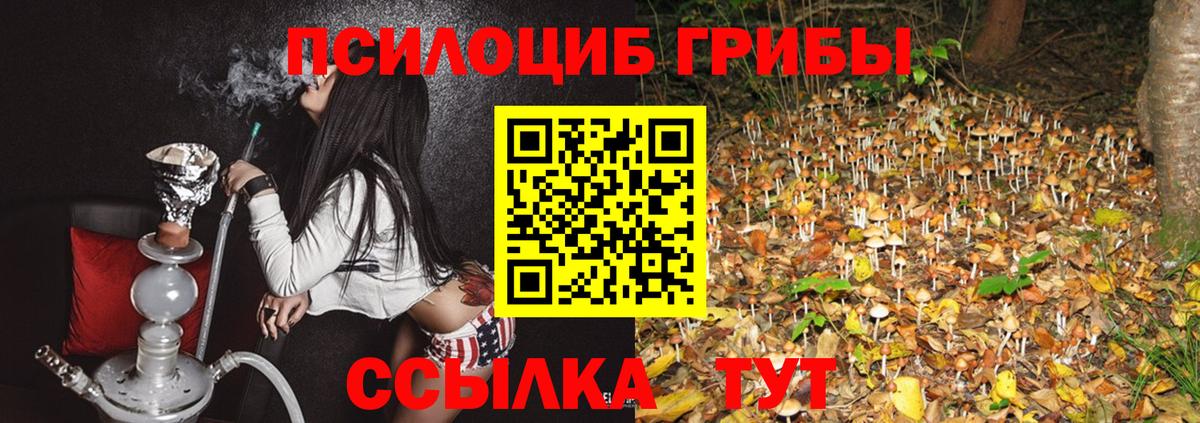 Сочи  Псилоцибиновые грибы Psilocybe  Вход с VPN 