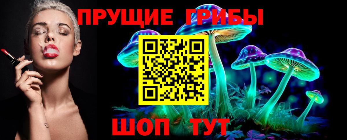 Псилоцибиновые грибы прущие грибы Сочи